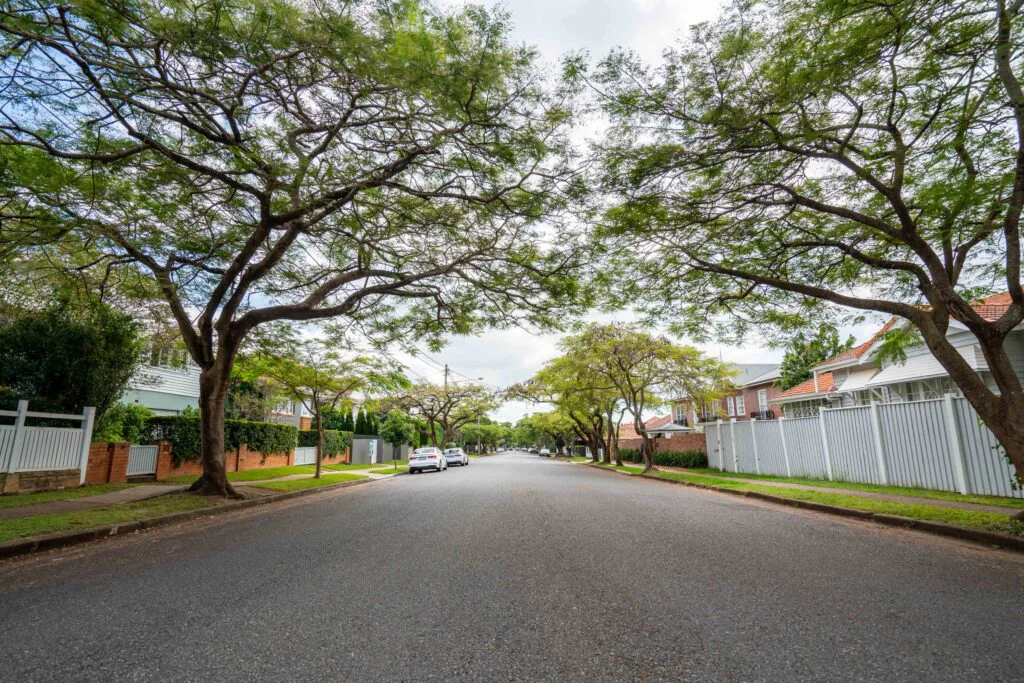 Ascot Suburb Profile image
