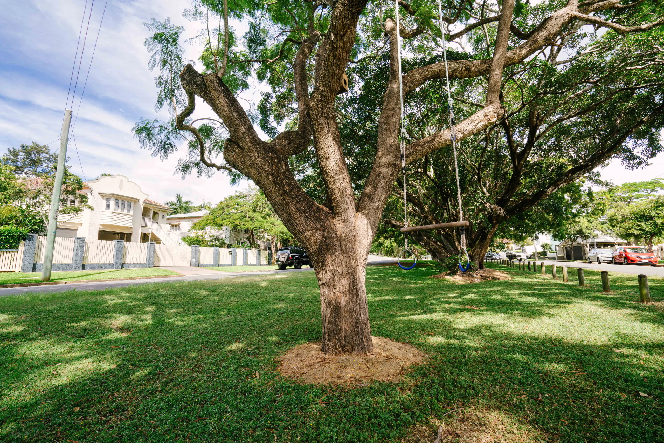 Ashgrove