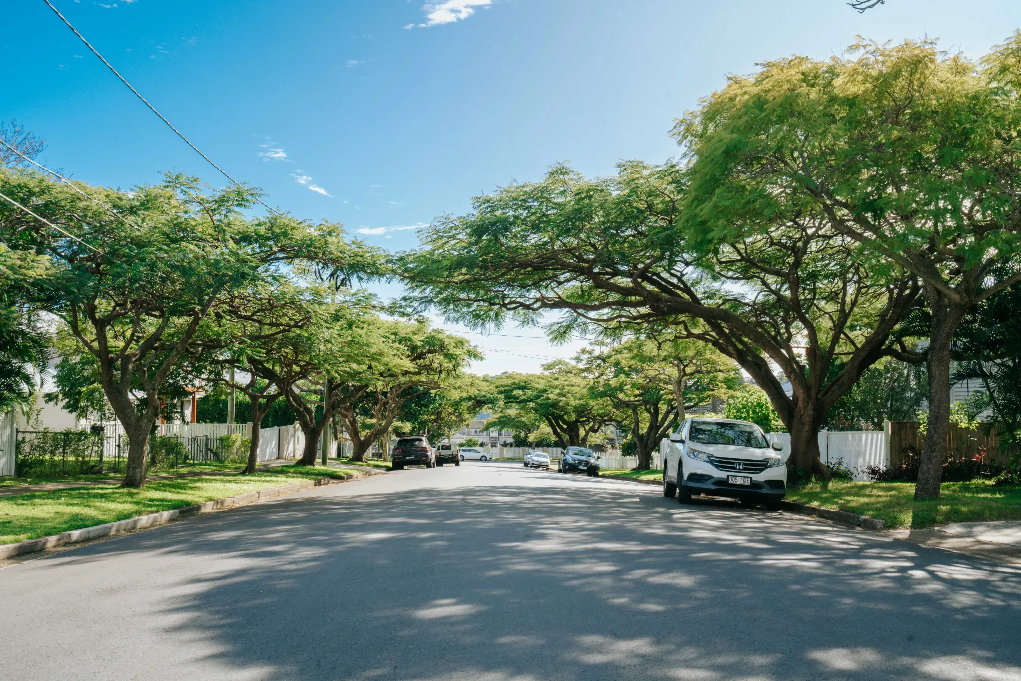 Bulimba Suburb Profile image