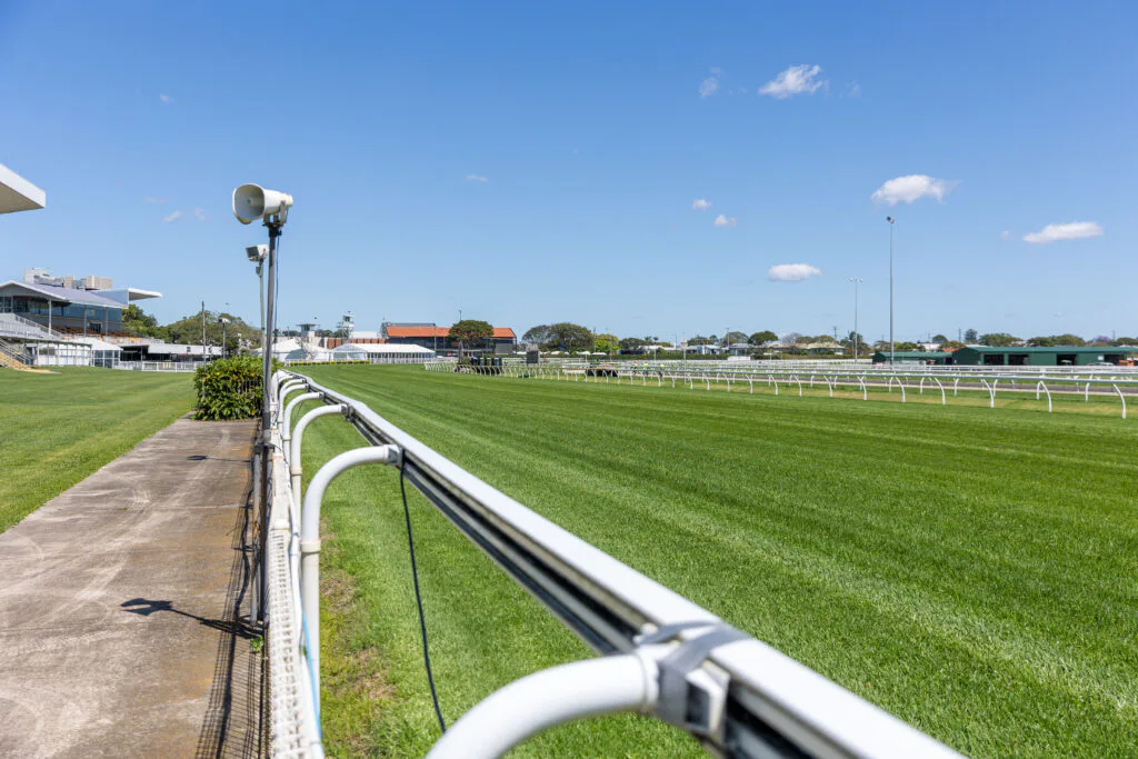 Hendra Suburb Profile image