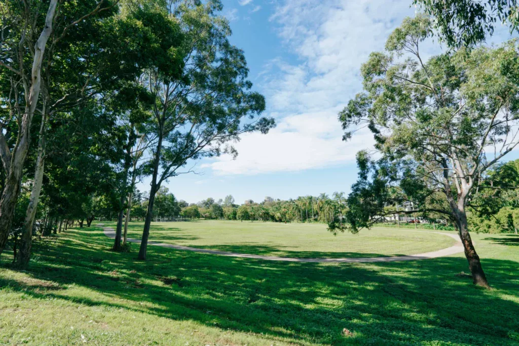 Taringa Suburb Profile image