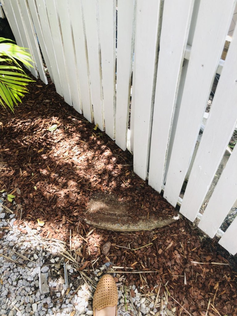 What is under that fresh mulch?