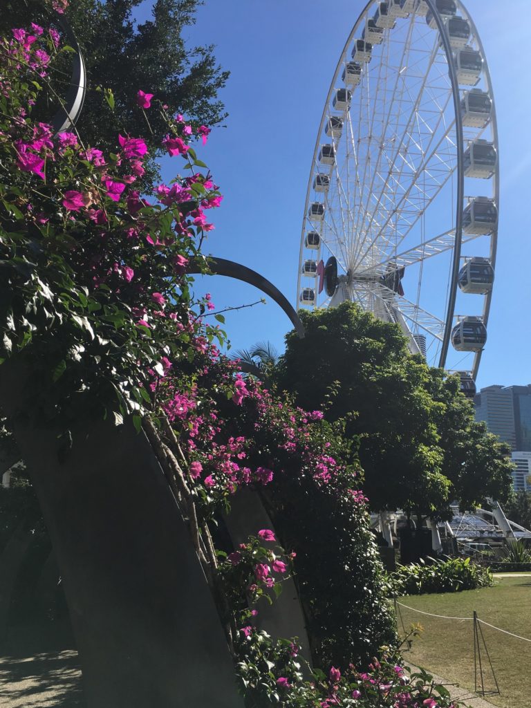 Brisbane South Bank photo of Wheel of Brisbane