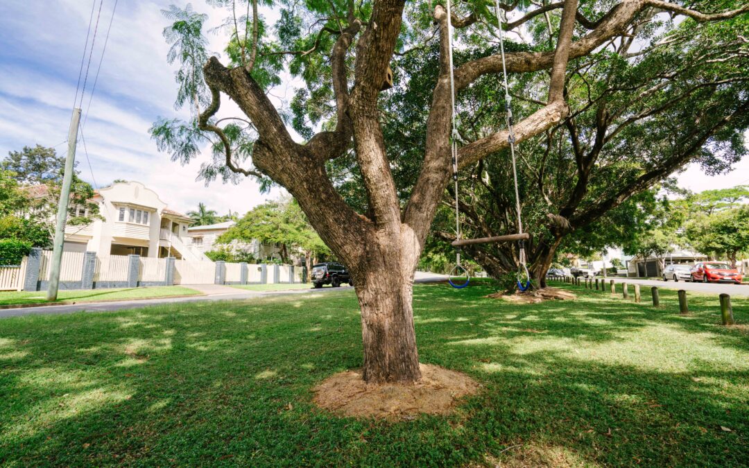 ashgrove qld, brisbane suburbs, land value queensland