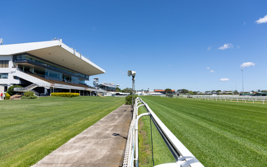 Ascot Suburb Profile